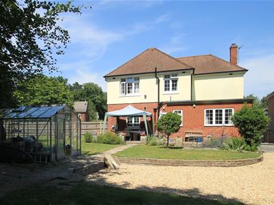 Picture 17